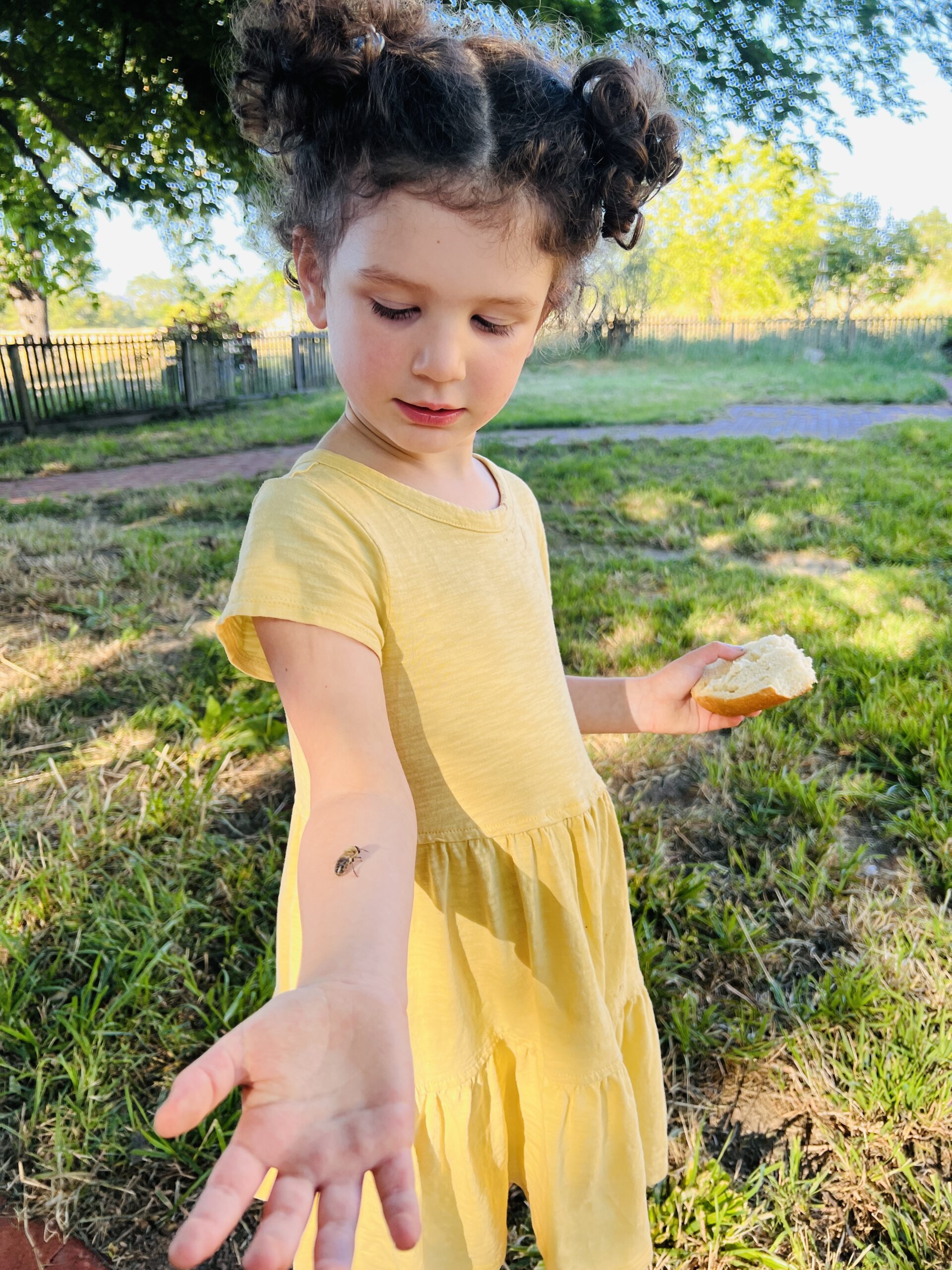 A small child in a yellow dress watching a honeybee rest on her bare arm, unafraid