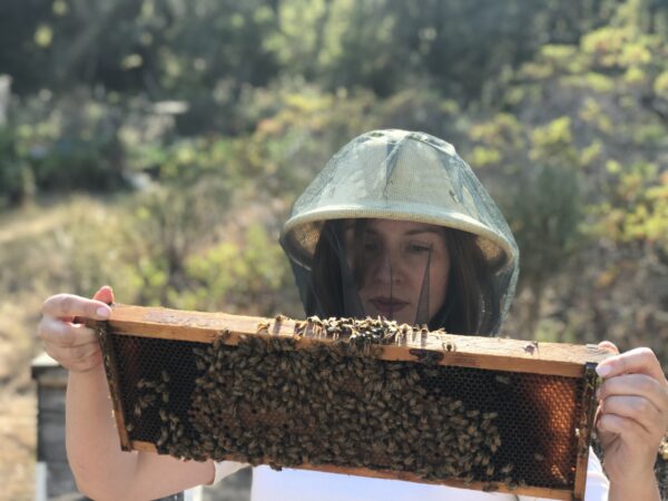 Special Earth Day 2023 Event - Advanced Beekeeping