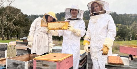 Bay-beehives-corporate-san-francisco